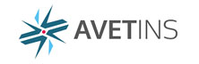 AVET INS (AVET Information and Network Security)