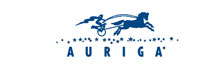Auriga