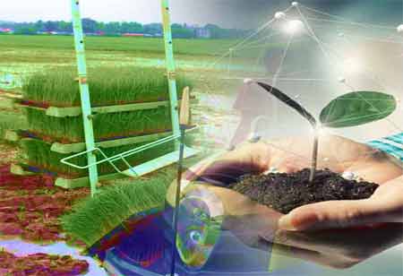 Supply Chains 2024: The Digital Revolution