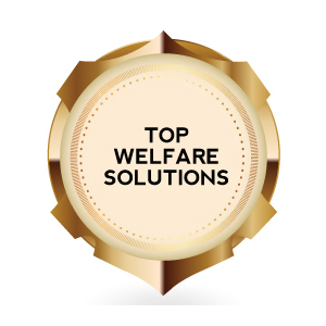  Top Welfare Solutions